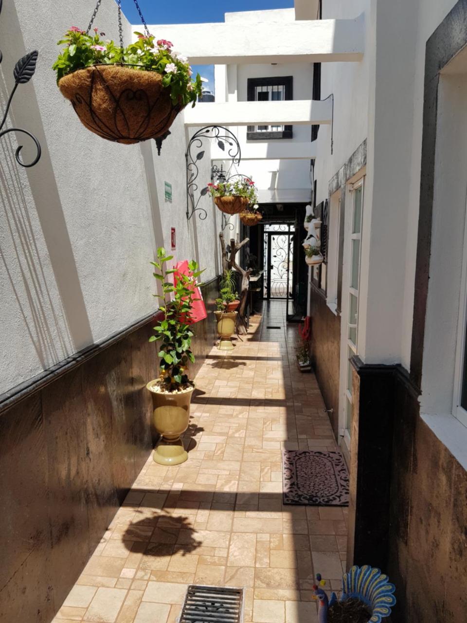 Hotel Tres Sofias Керетаро Экстерьер фото